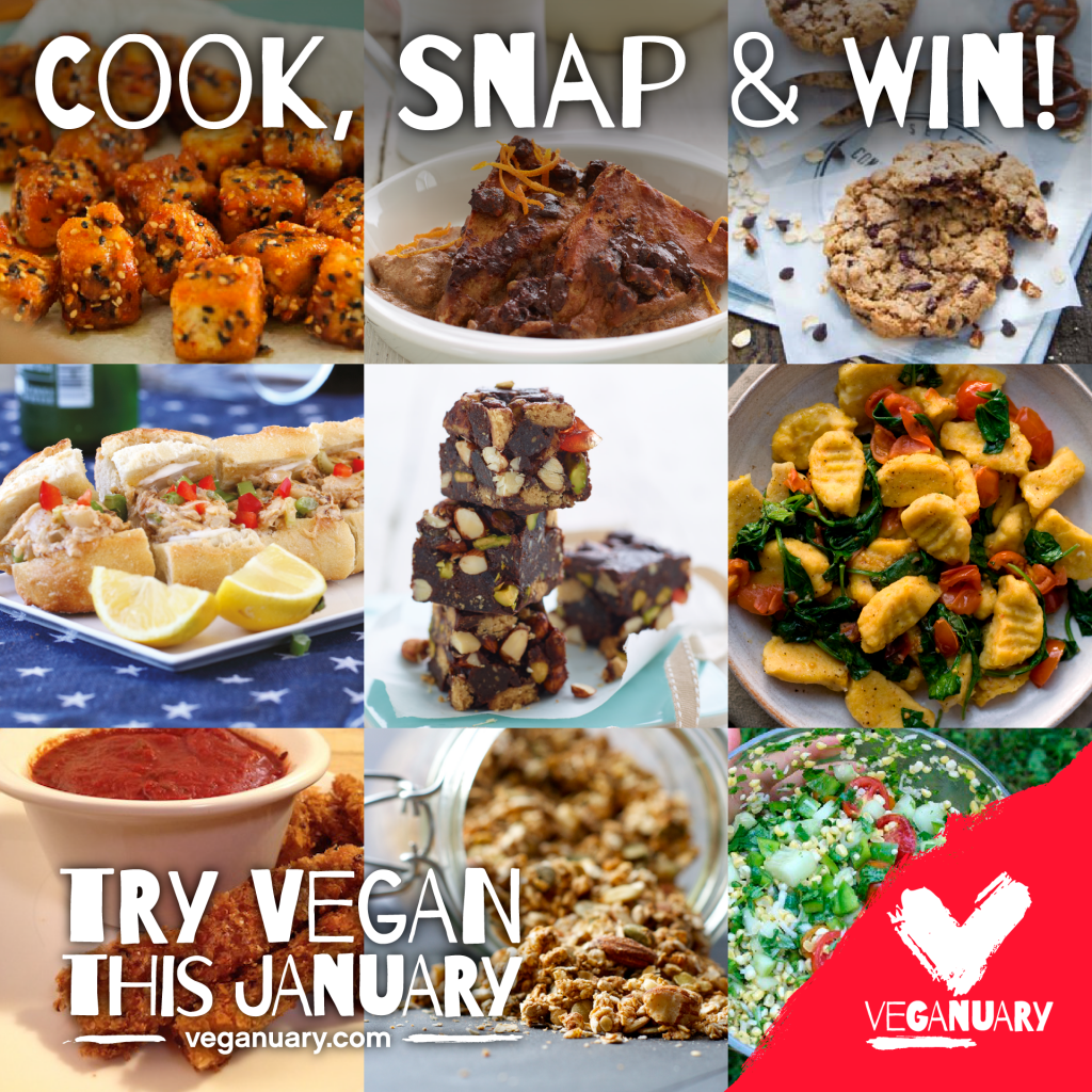 Cook-Snap-D-FB-13-12-15
