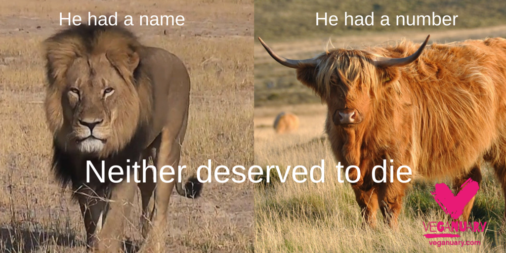 He had a name (2)