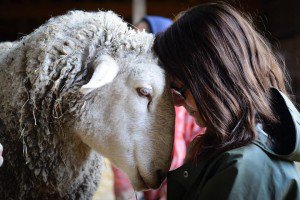 Susie and Francis by FARM