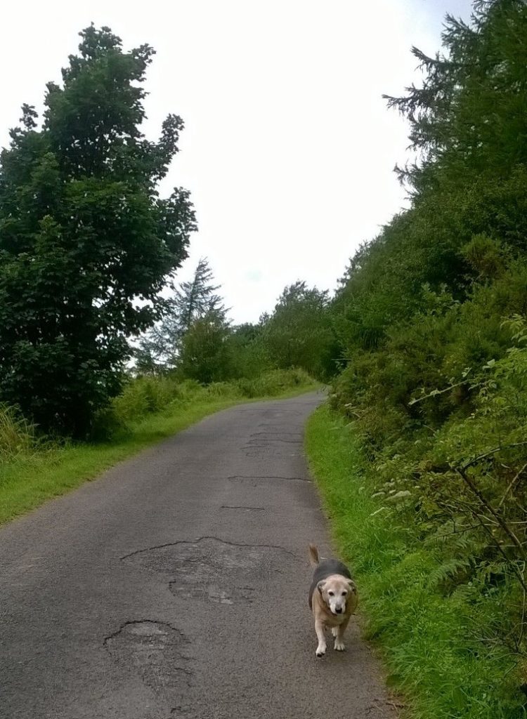 D walking on tarmac near his favourite Lake District spot - Ennerdale.