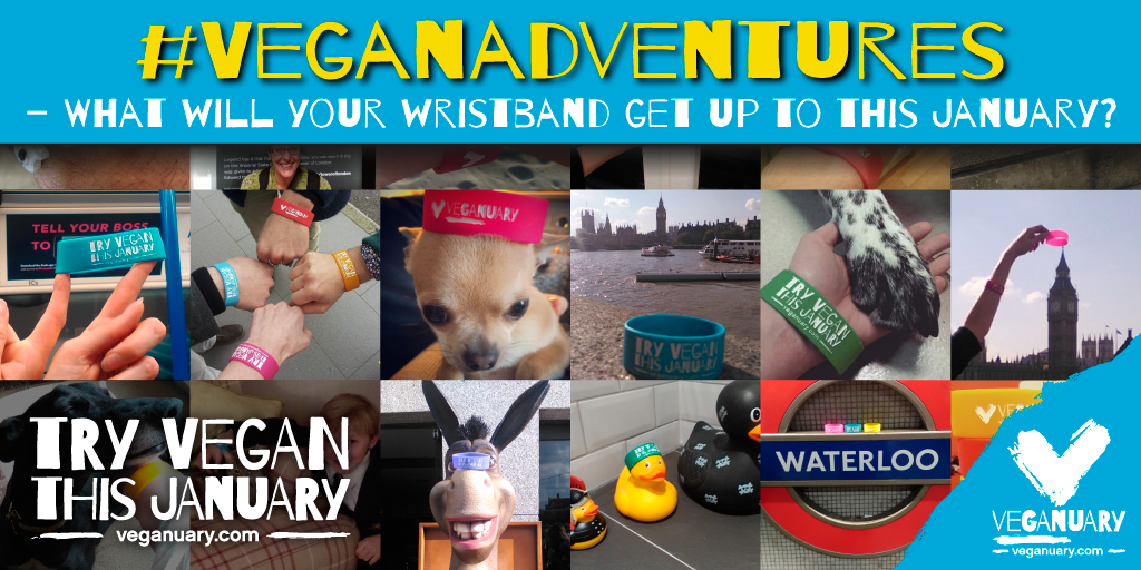 Wristband-graphics-TWIT-11-11-15