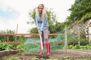 Growing vegetables
