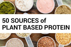 plant-based-protein-header