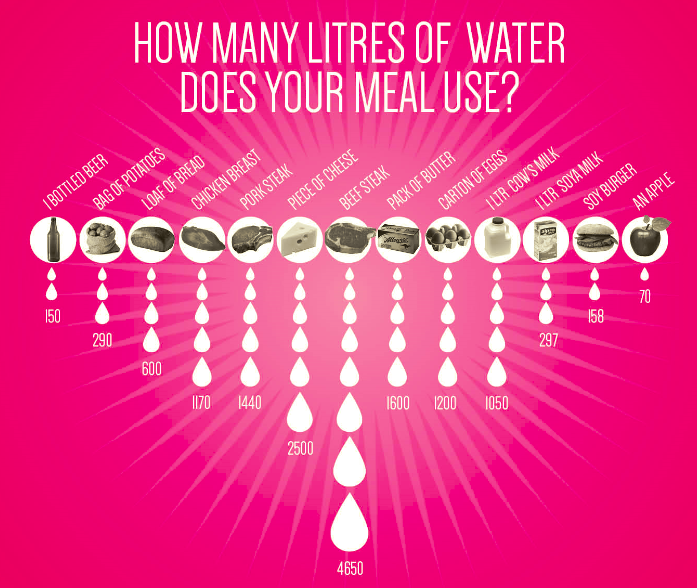 How many litres of water does your meal use