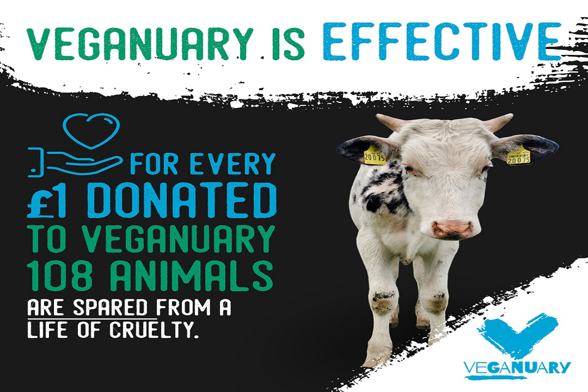 Did Veganuary 2017 Help Animals? | Veganuary USA