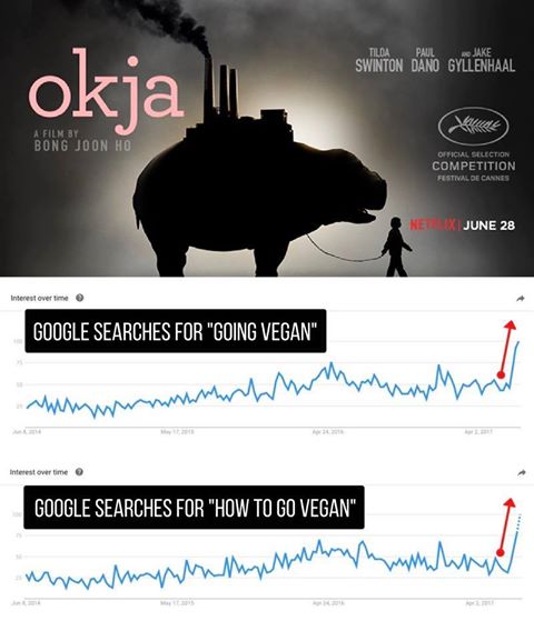 Okja and Google Trends