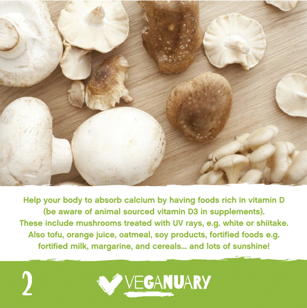 Mushrooms