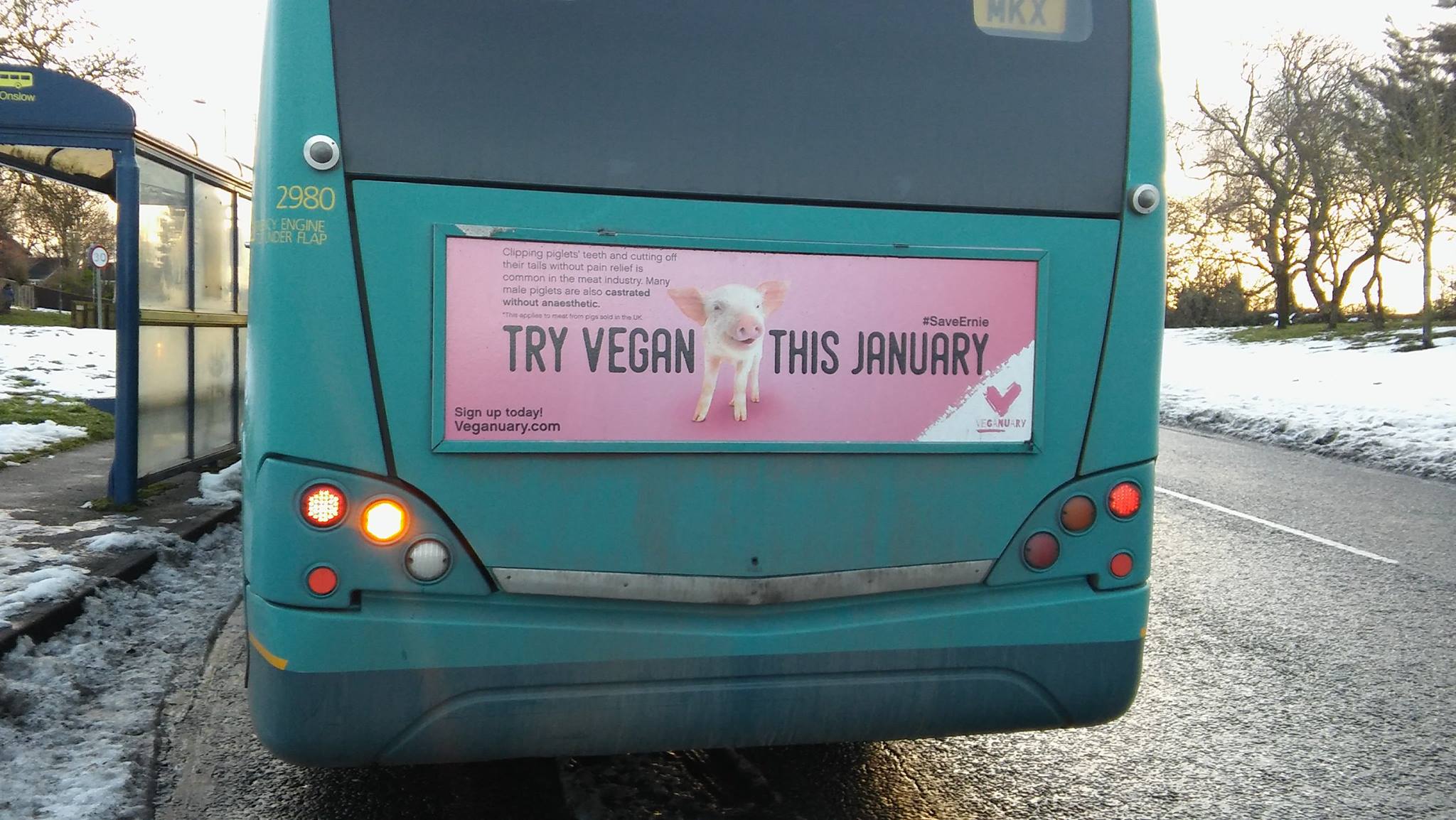 Save Ernie Bus