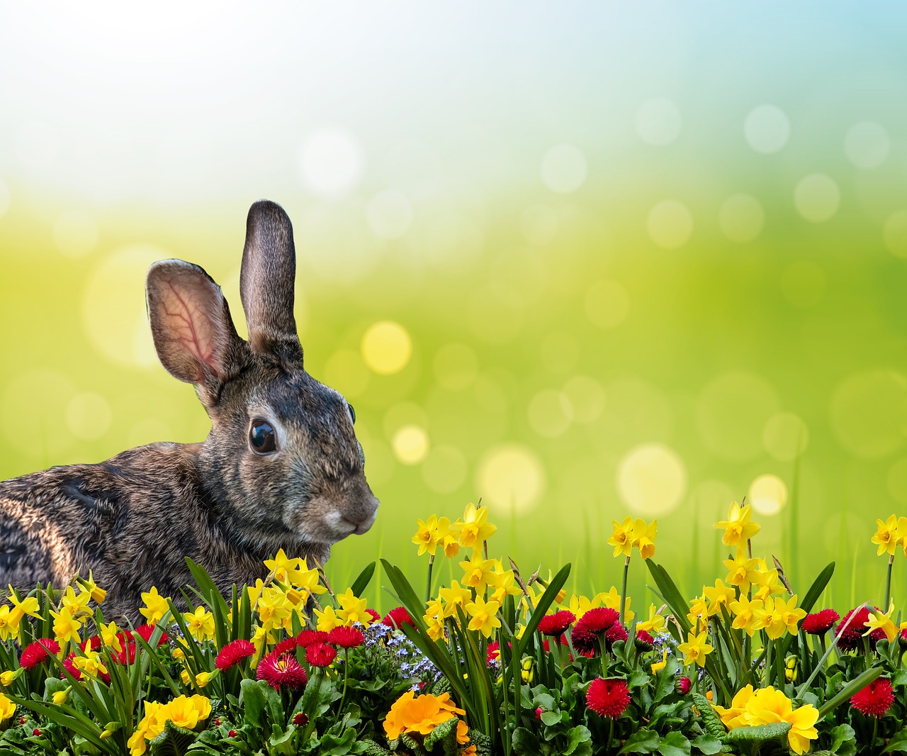 a rabbit near flowers