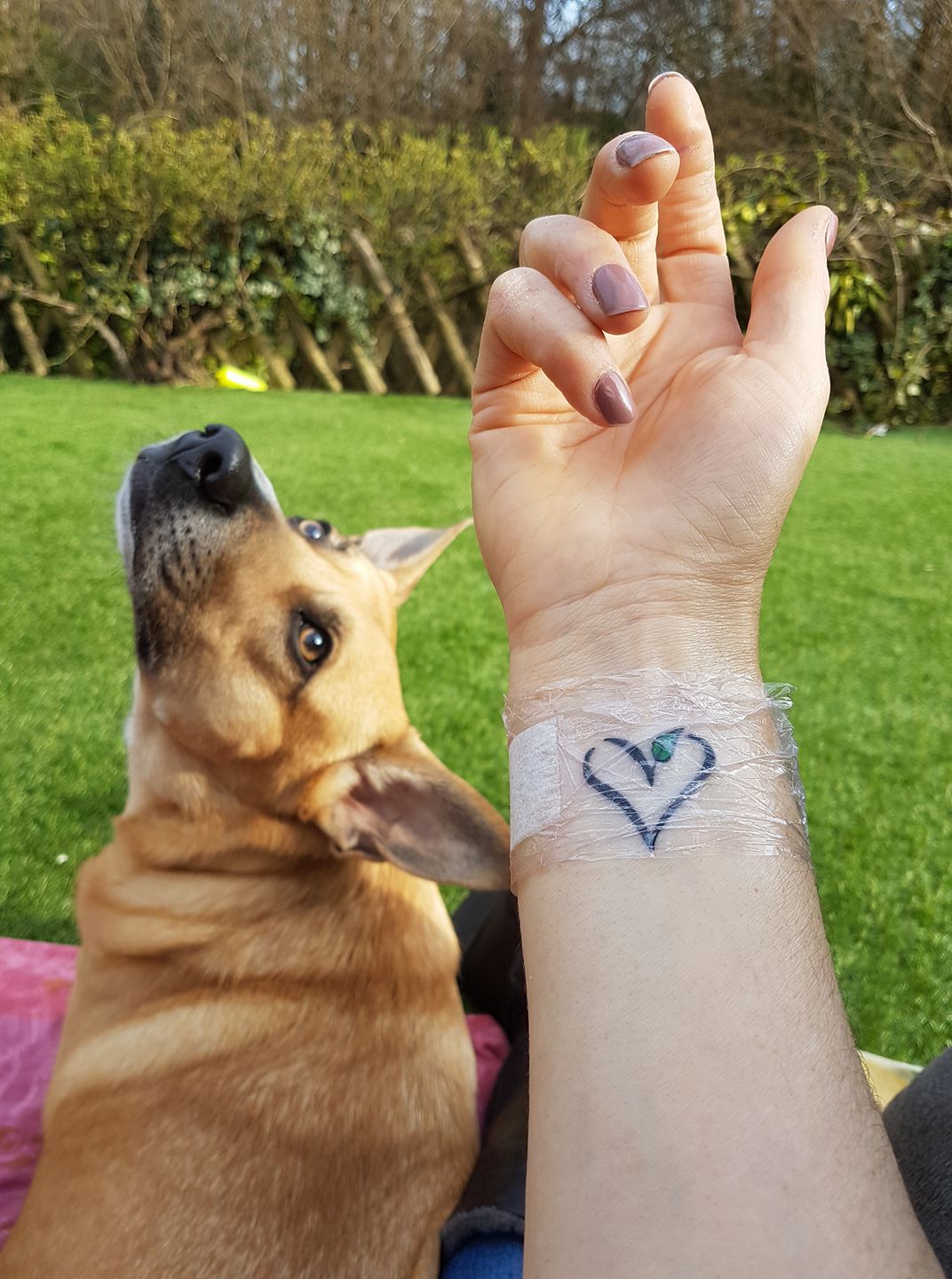 Nicola Neal tattoo 1