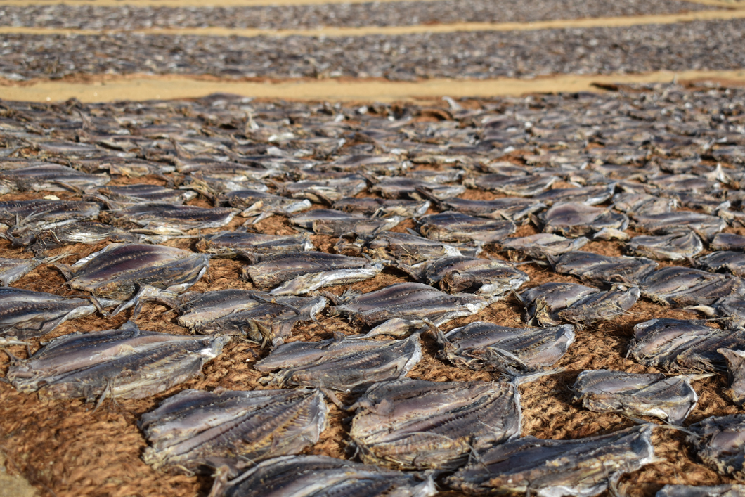 impact-of-fishing-plastic