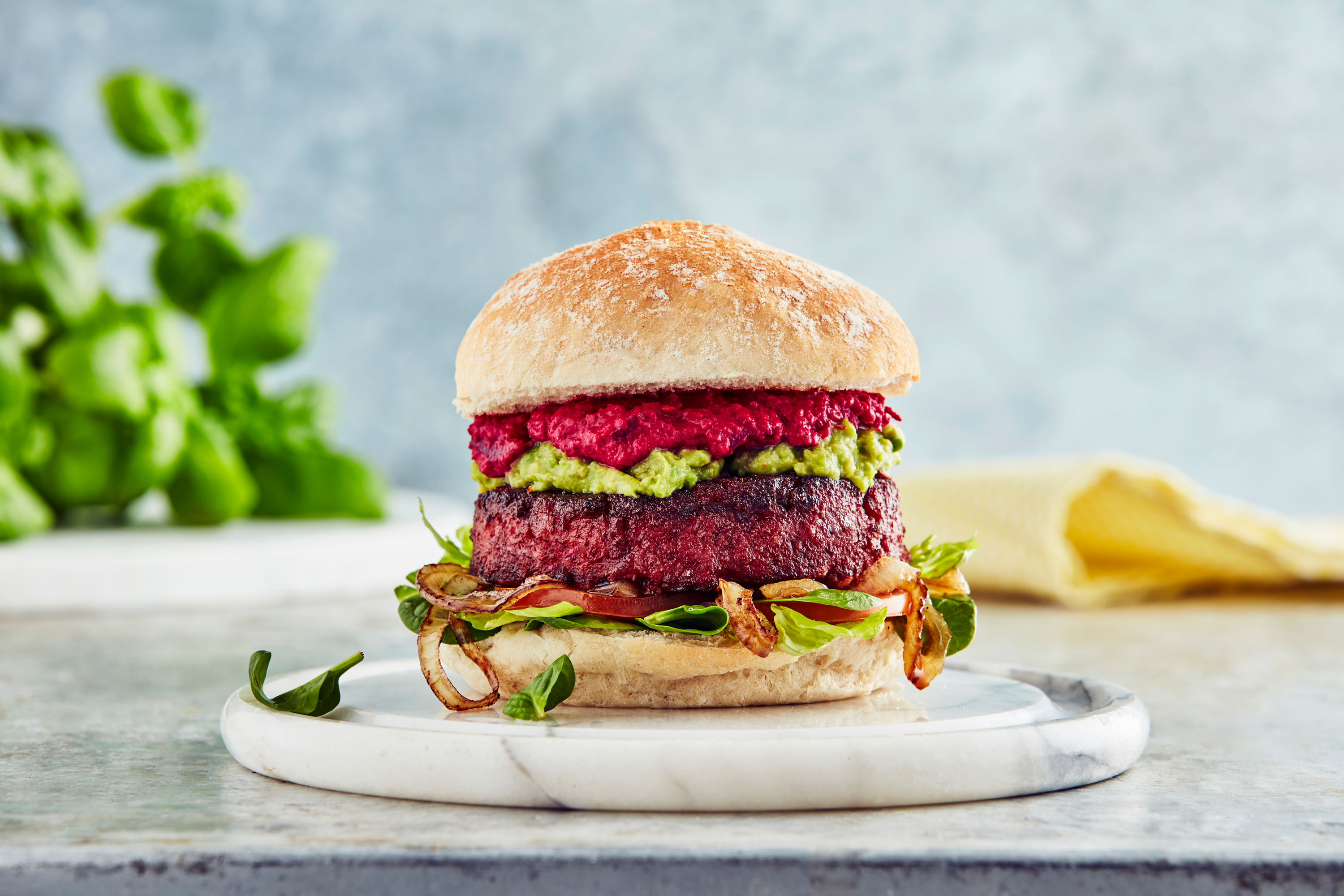 Iceland-vegan-label