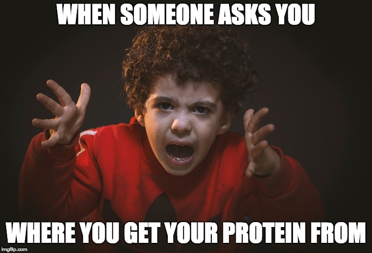 When someone asks you where you get your protein from