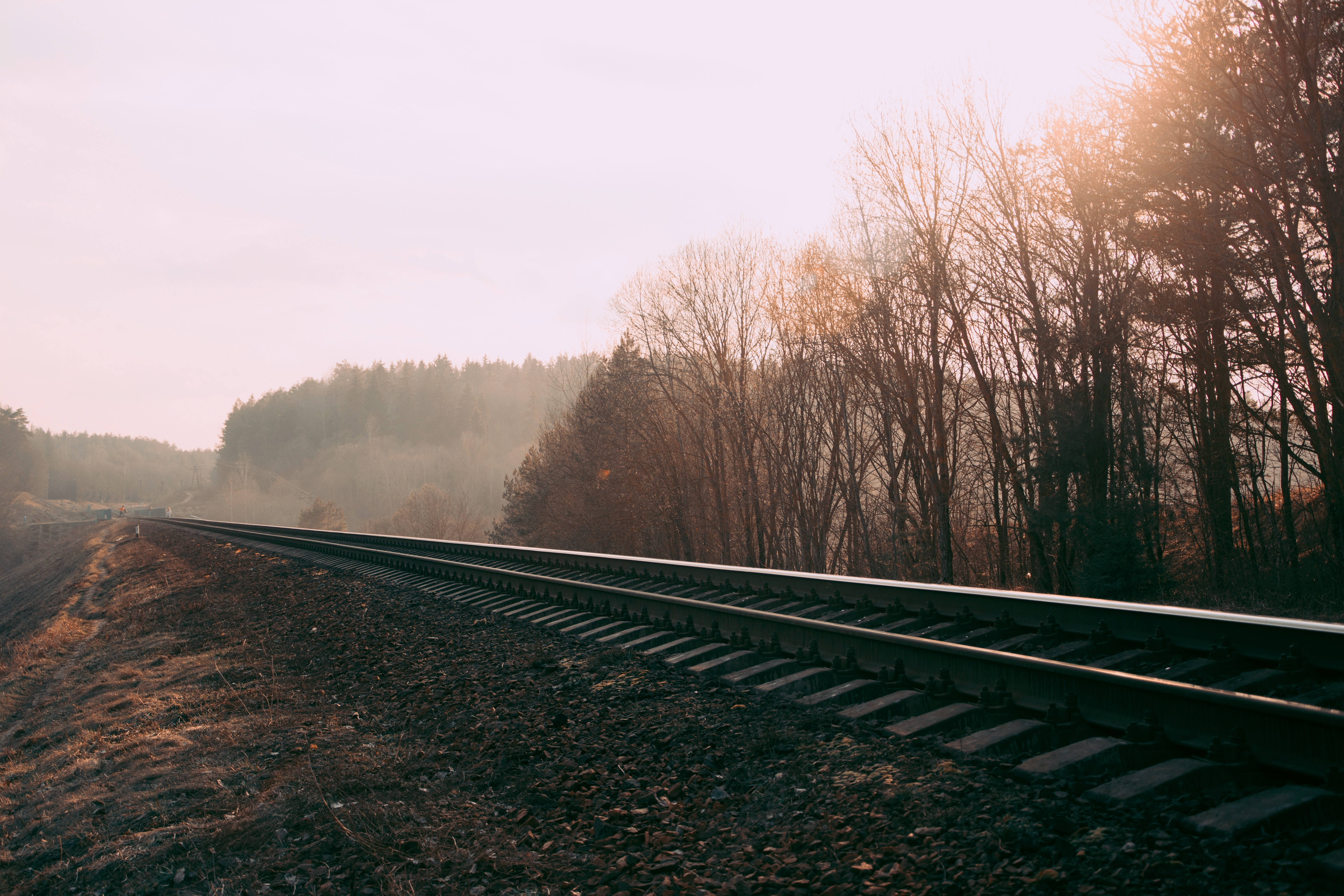 train through countryside woodlands