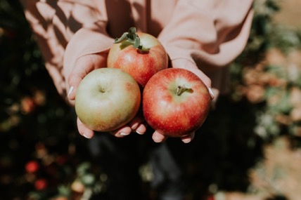 eco-autumn-tips