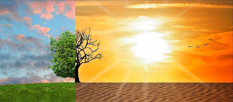 Climate Change
