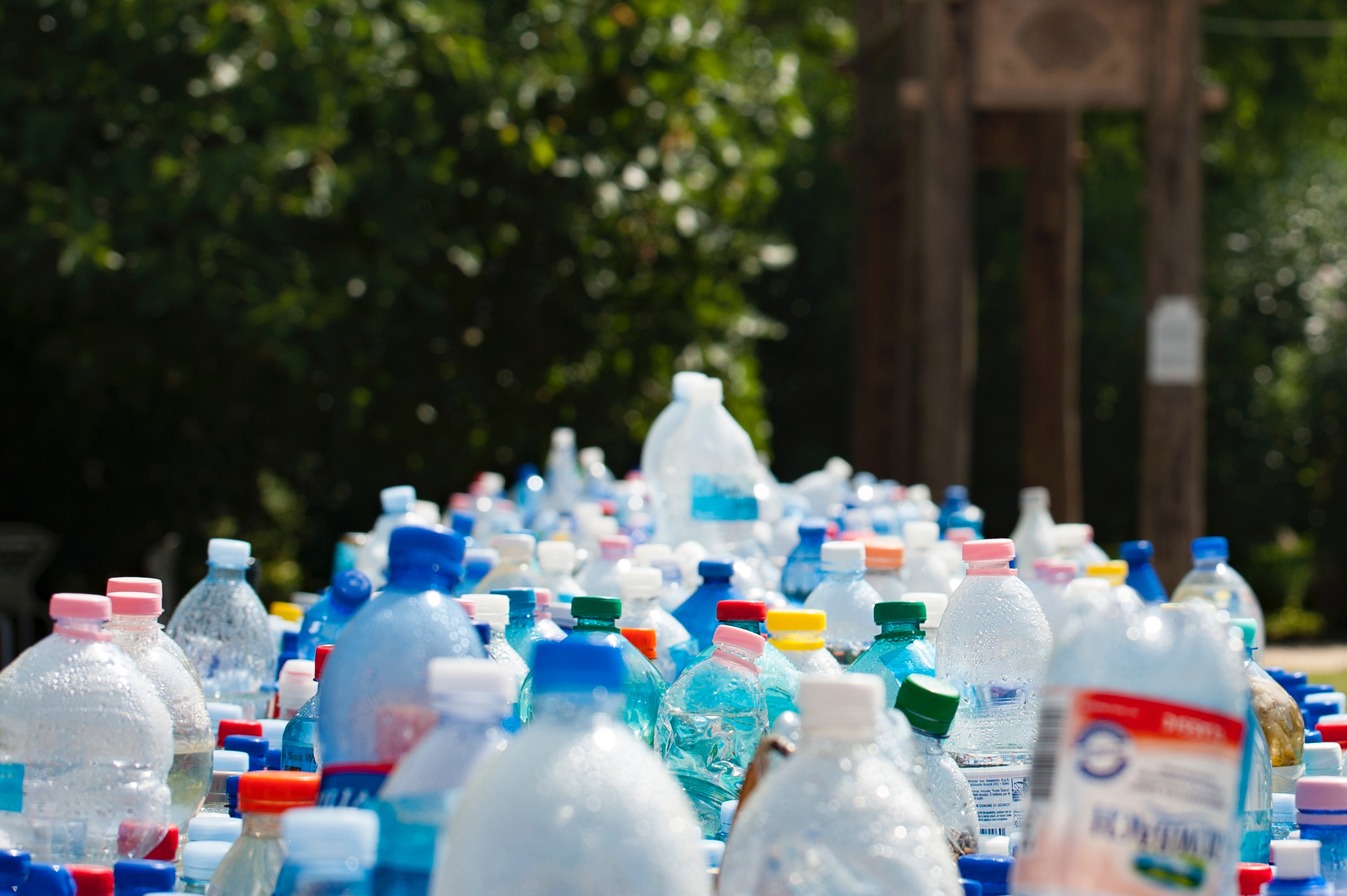 vegan zero waste plastic