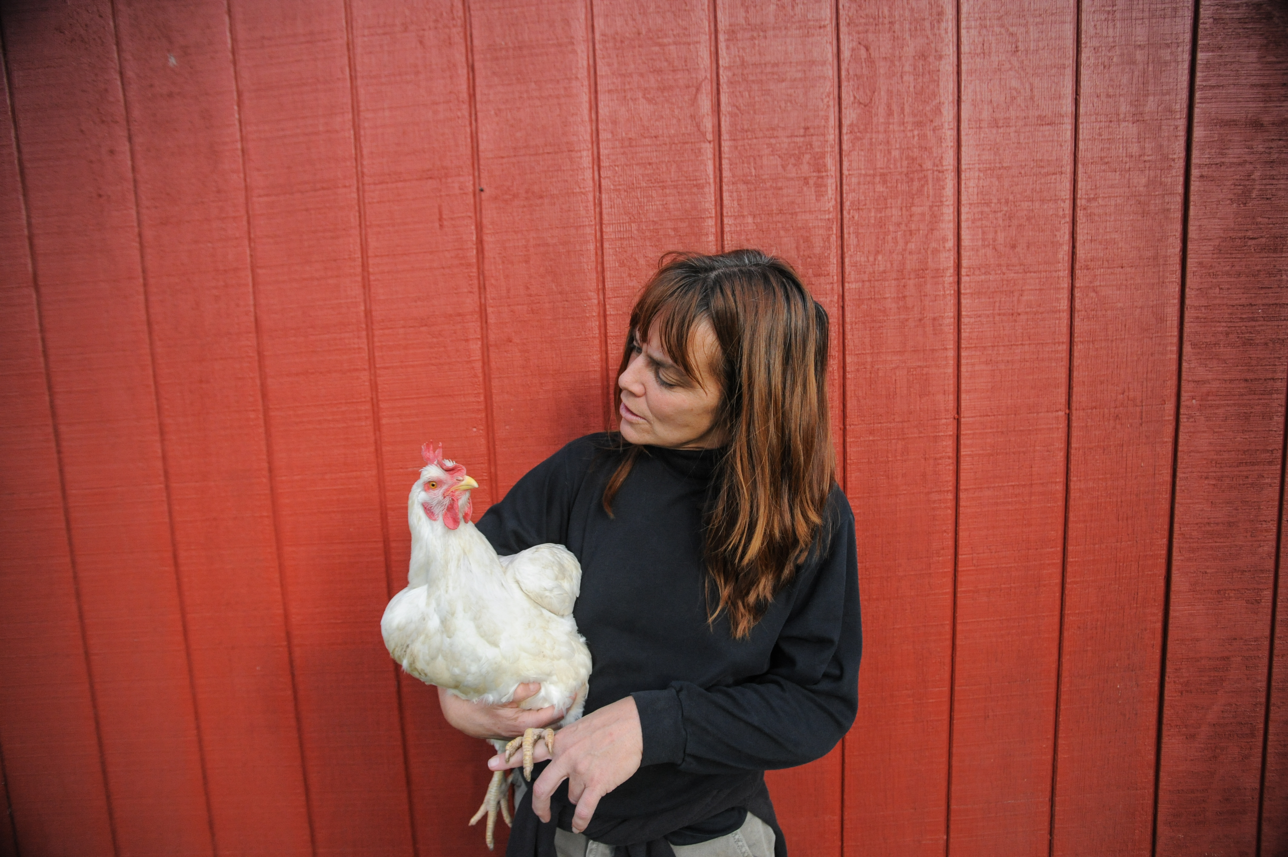 unbound project vegan