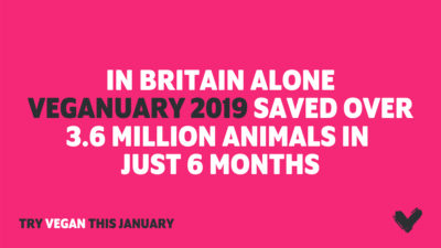 What impact does Veganuary have on actual animal lives saved?