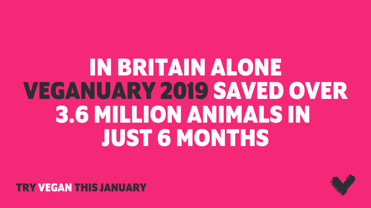 In Britain alone Veganuary 2019 saved over 3.6 million animals in just 6 months