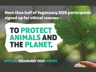 Veganuary survey showing more than half of our 2020 participants signed up for ethical reasons