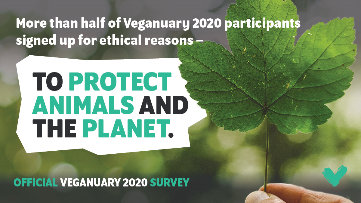 Veganuary 2020: Official Survey Results - Veganuary