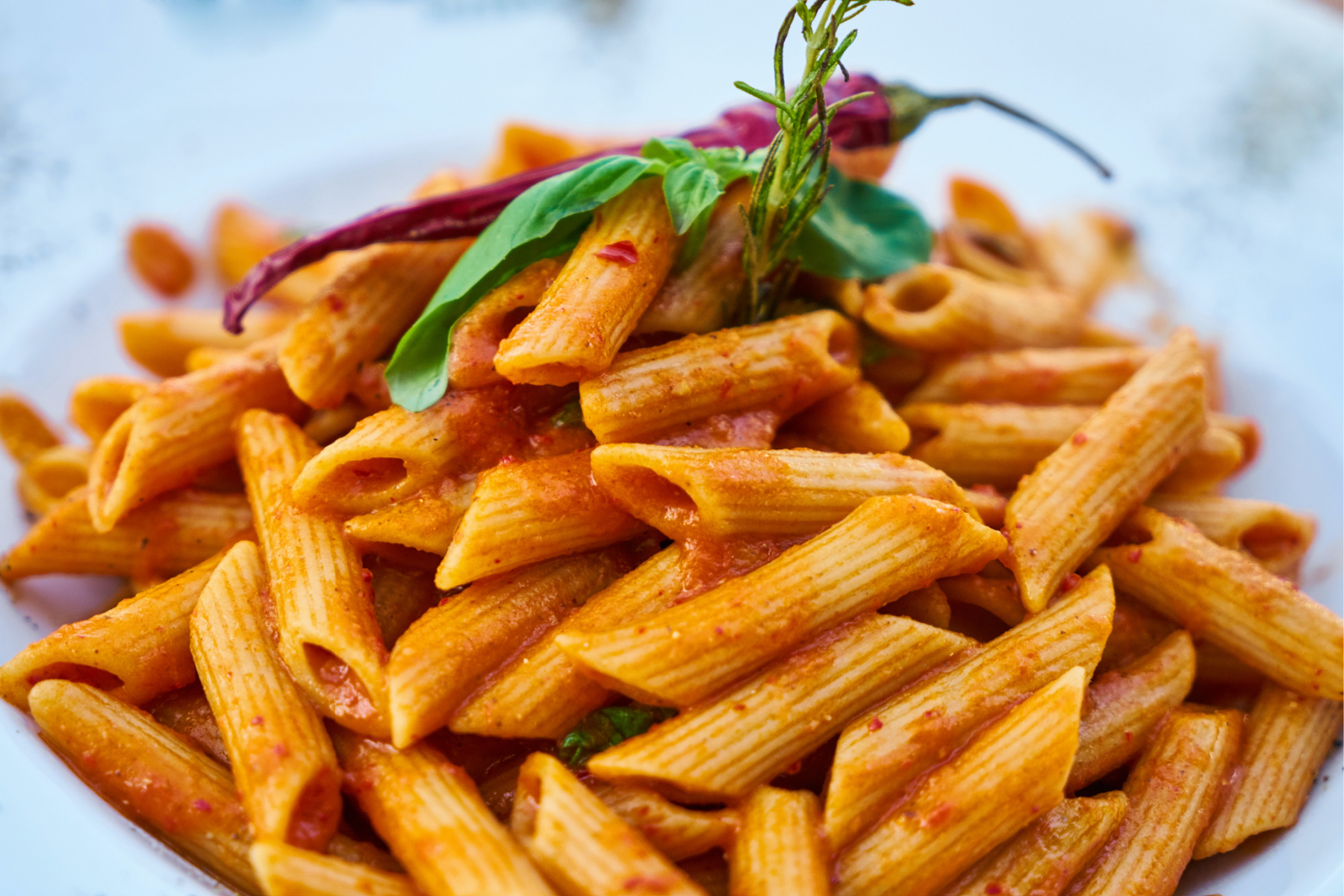 A plate of pasta with tomato sauce