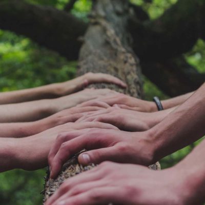 A group of unidentified people placing their hands on a tree trunk 