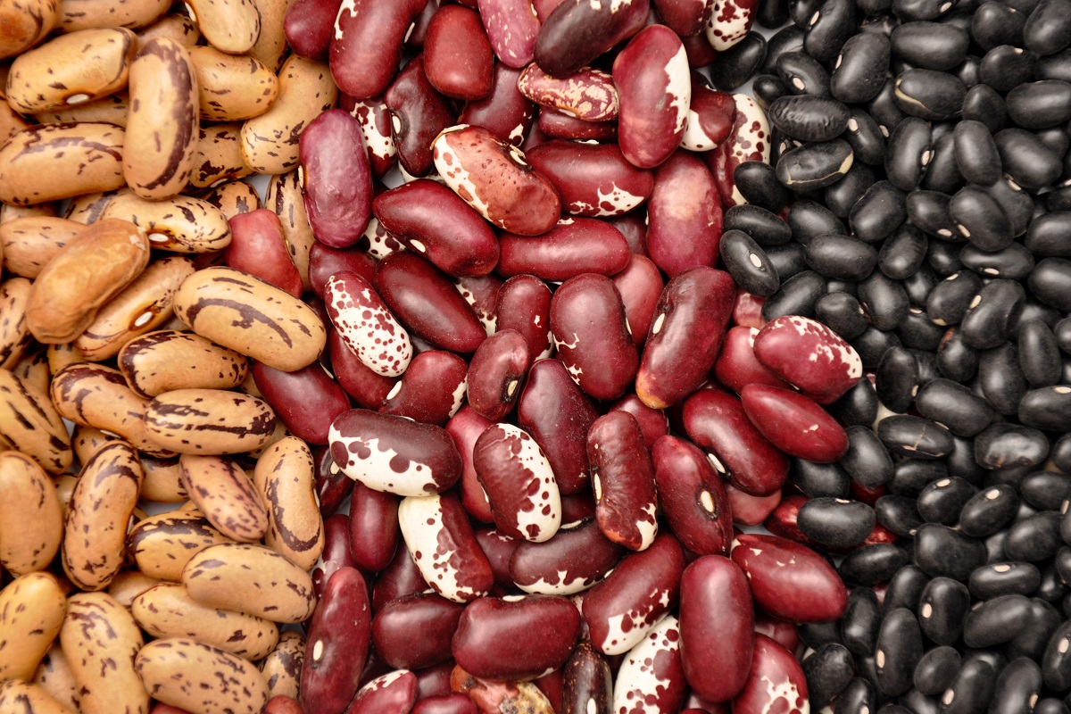A selection of beans - these are vegan food essentials as they contain important nutrients. 