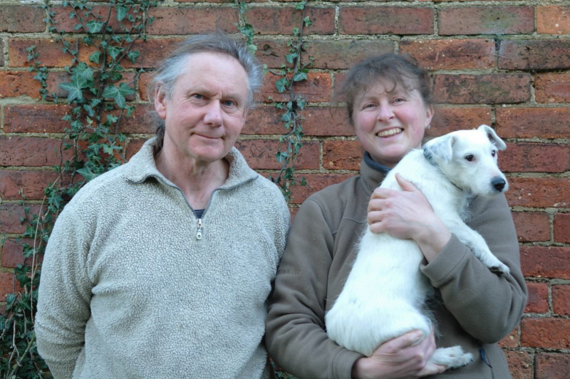 Dairy Farmers Switch to Oat Milk Because They Can’t Face Killing Cows