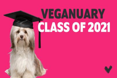 Veganuary class of 2021