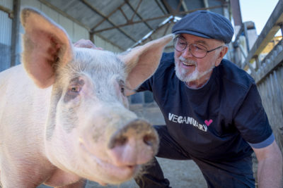 Peter Egan with pig
