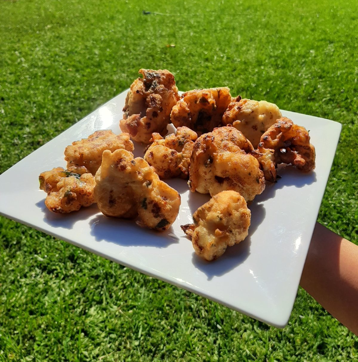 Empanadinhos "sem frango"