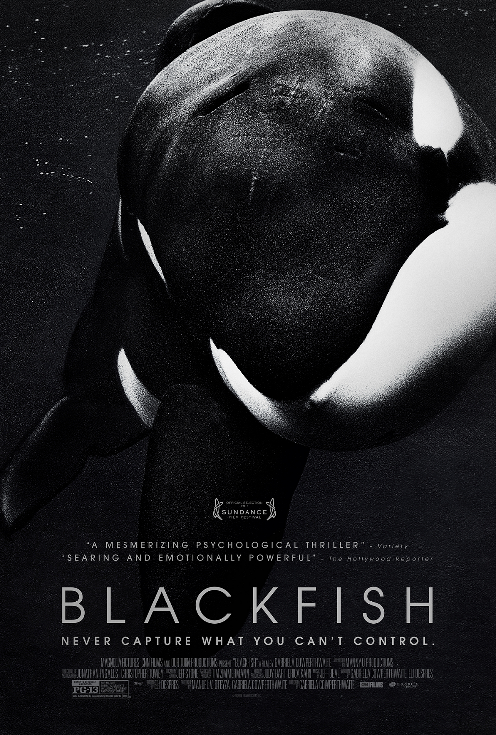 Blackfish documentary poster