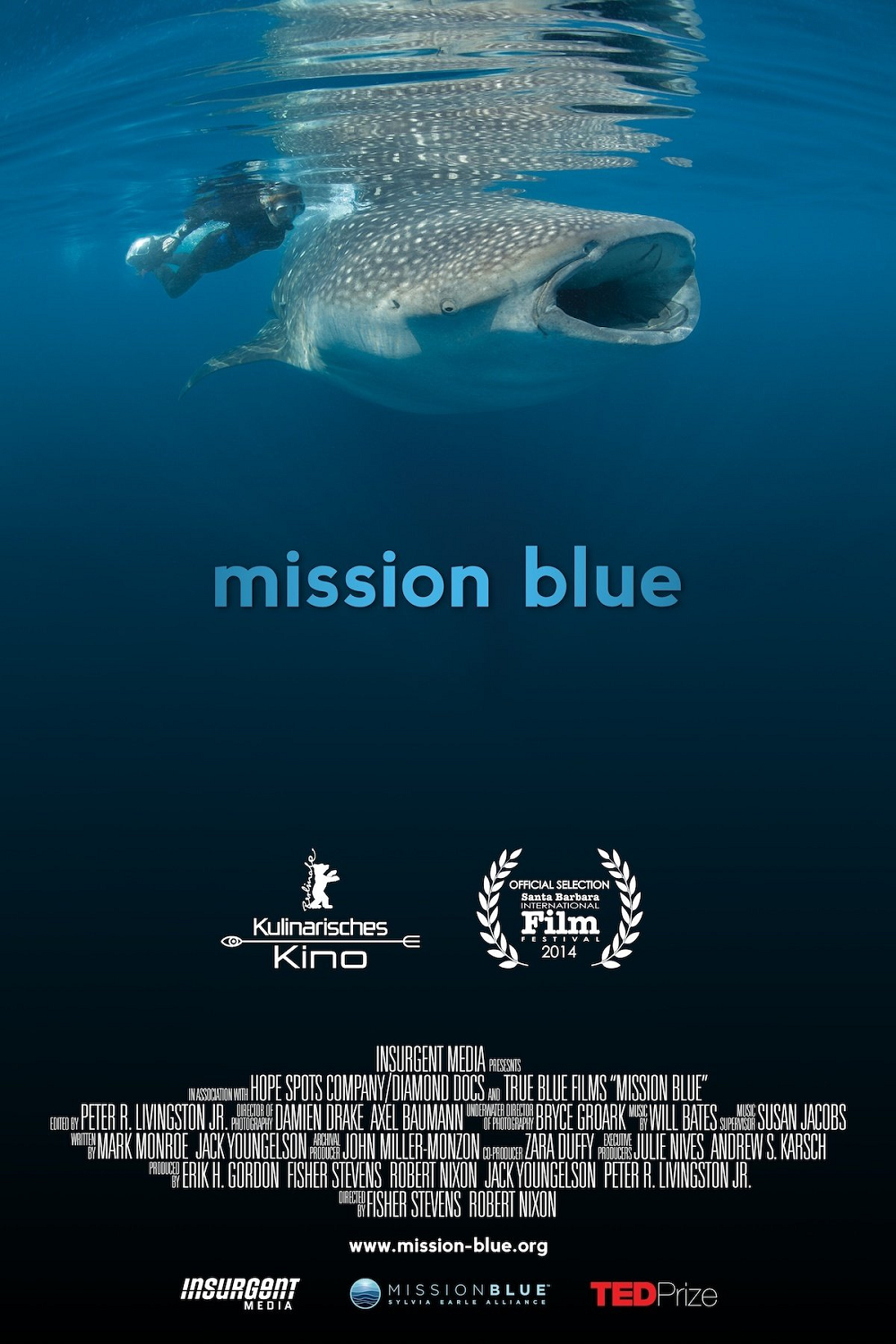 Mission Blue Poster