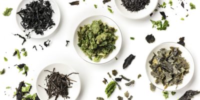 A panoramic overhead shot of a variety of dry seaweed, sea vegetables, on a white background