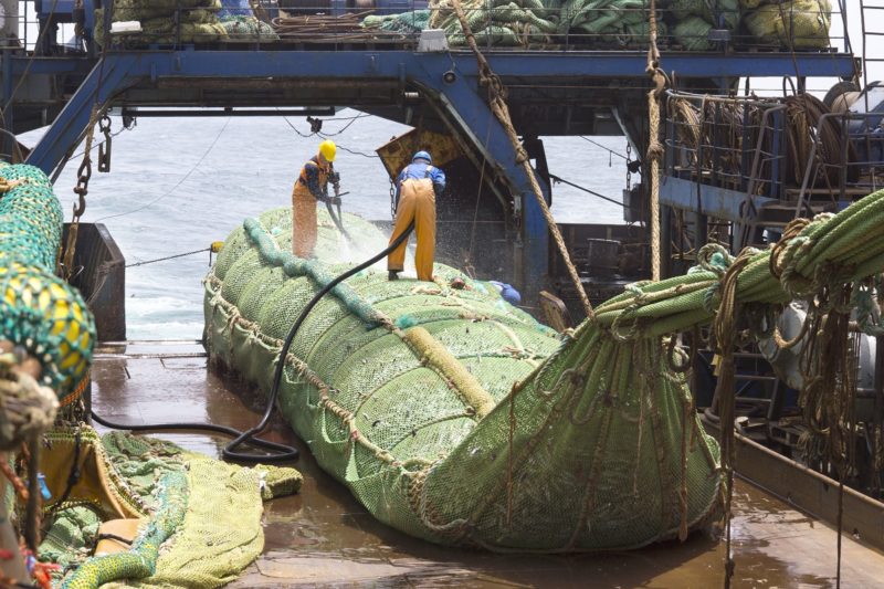 The Carbon Footprint of Fish Is Fish Sustainable?