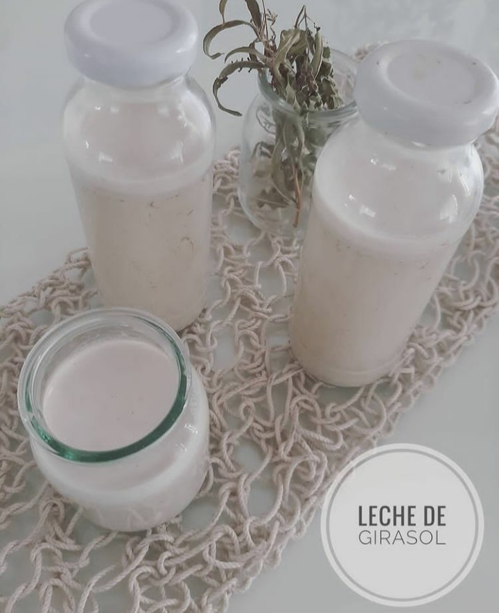 Leche de semillas de girasol - Veganuary