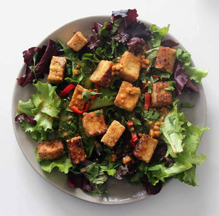 Crunchy Tofu Salad by Veggie Gib
