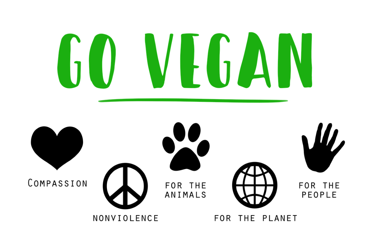 Why Go Vegan Reasons To Go Vegan Veganuary India