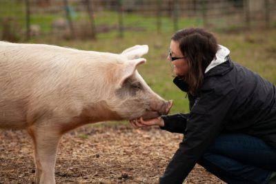 Woman with pig at animal sanctuary