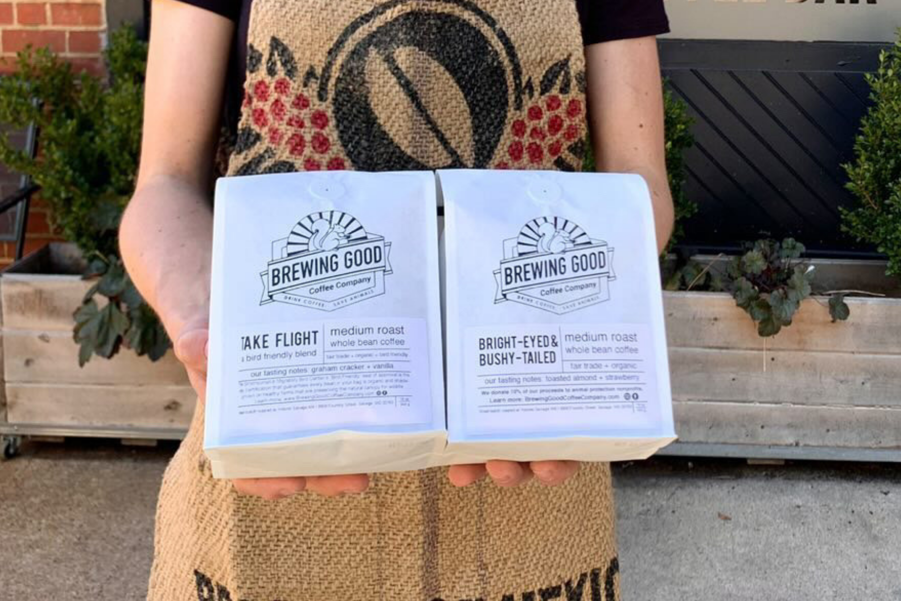 A person is holding two bags of Brewing Good Coffee Company coffee