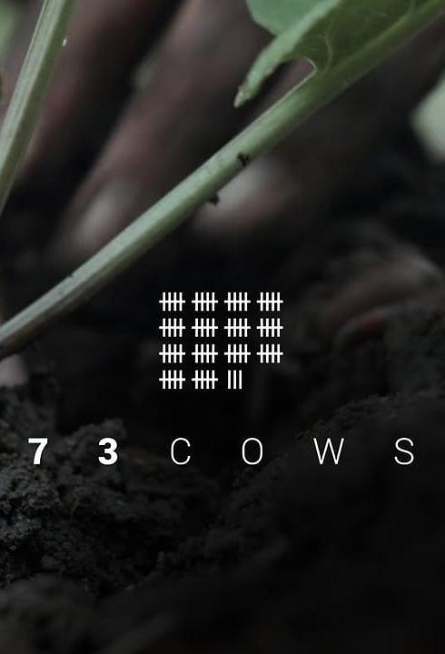 73 Cows film poster