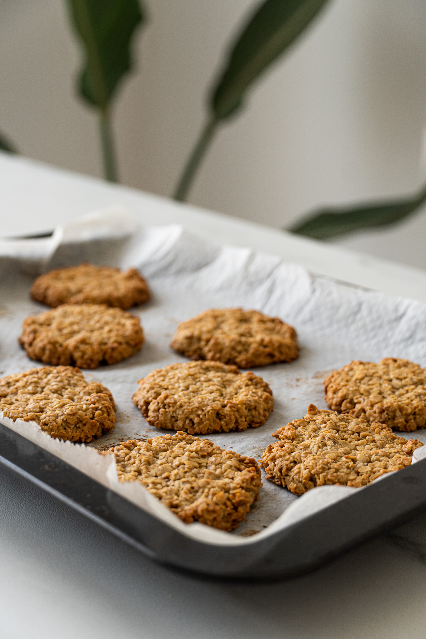 Galletas De Avena Con 3 Ingredientes - Veganuary