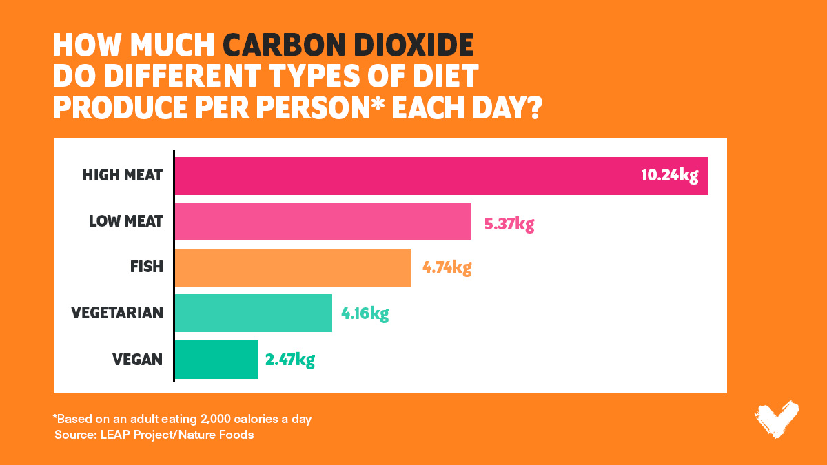 Carbon Dioxide emissions from different diets