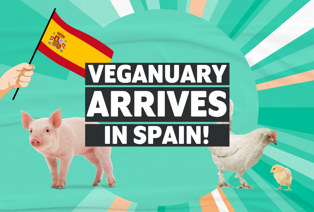 Veganuary Launches In Spain Continuing Its Global Expansion