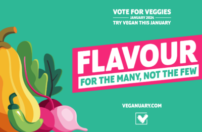 Vote for veggies blog header