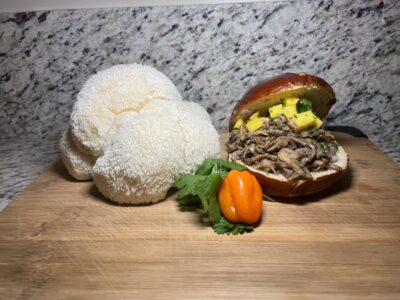 Lions Mane Mushroom and Burger