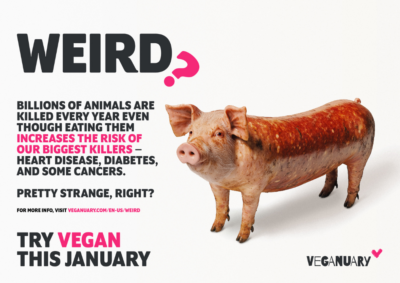 Pig with a mid-section showing a sausage with text Billions of animals are killed every year even though eating them increases the risk of our biggest killers - heart disease, diabetes, and some cancers. Pretty strange, right? Try vegan this January