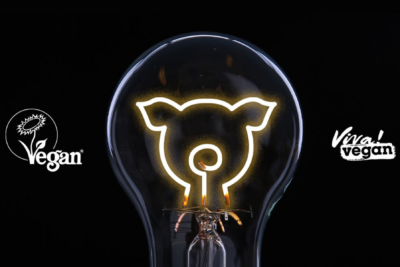 Ecotricity - Blog post graphic